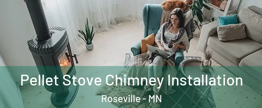  Pellet Stove Chimney Installation Roseville - MN