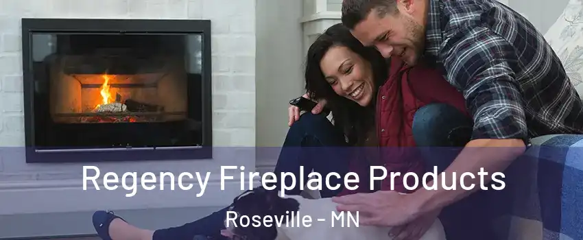  Regency Fireplace Products Roseville - MN