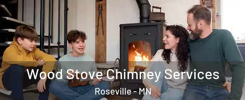  Wood Stove Chimney Services Roseville - MN