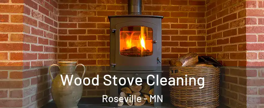  Wood Stove Cleaning Roseville - MN